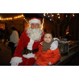March&eacute; de no&euml;l S&eacute;rignan 2013