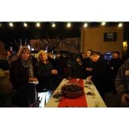 March&eacute; de no&euml;l S&eacute;rignan 2013