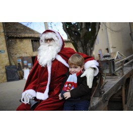 March&eacute; de no&euml;l S&eacute;rignan 2013