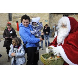 March&eacute; de no&euml;l S&eacute;rignan 2013