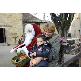 March&eacute; de no&euml;l S&eacute;rignan 2013
