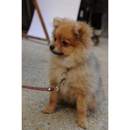 March&eacute; de no&euml;l S&eacute;rignan 2013